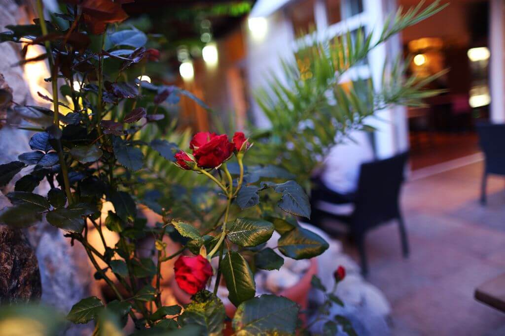 Hotel Perla Dubrovnik - Restaurant Agora 11